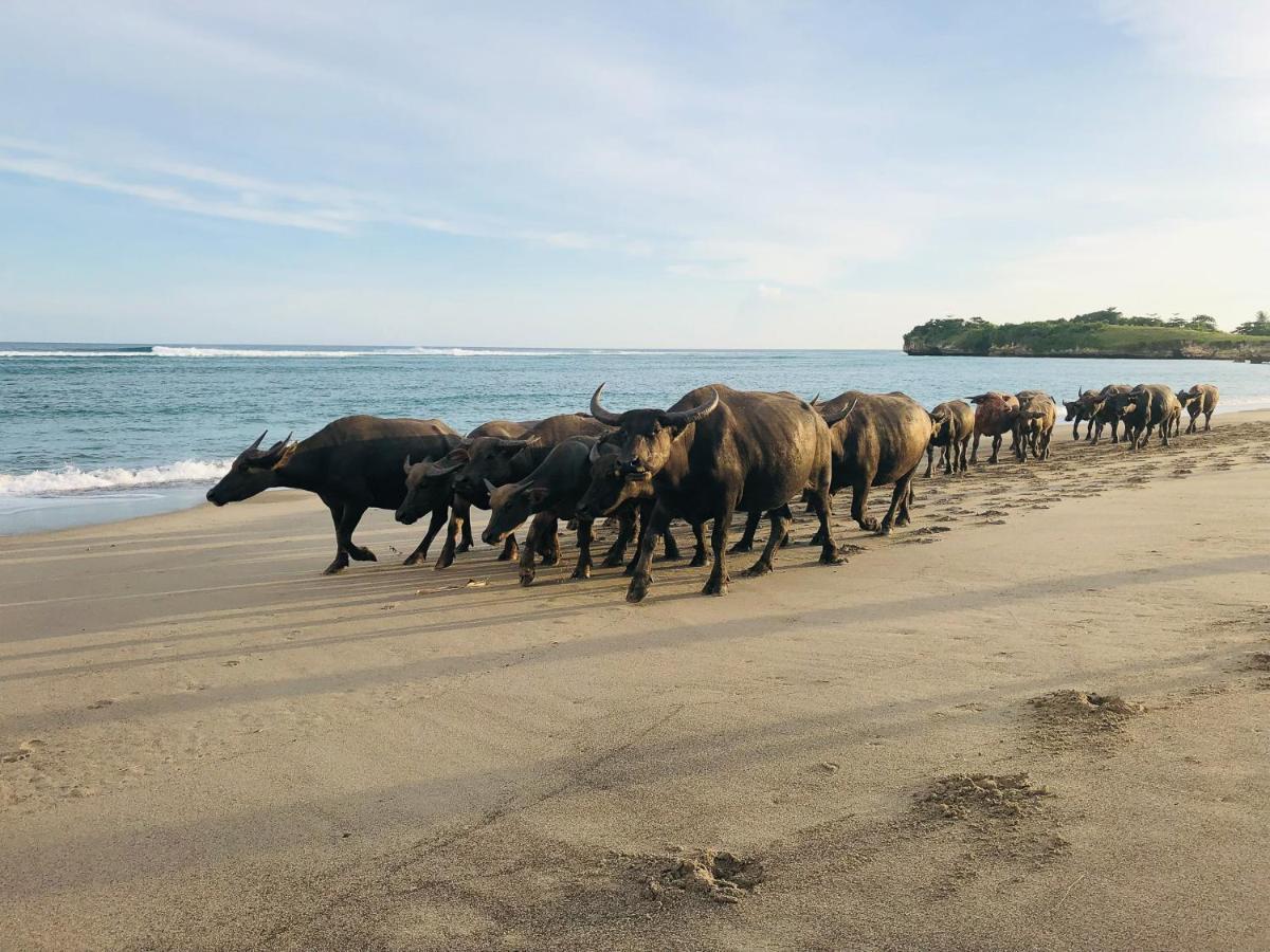 Sumba Beach House Waikabubak Eksteriør billede